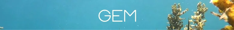 GEM