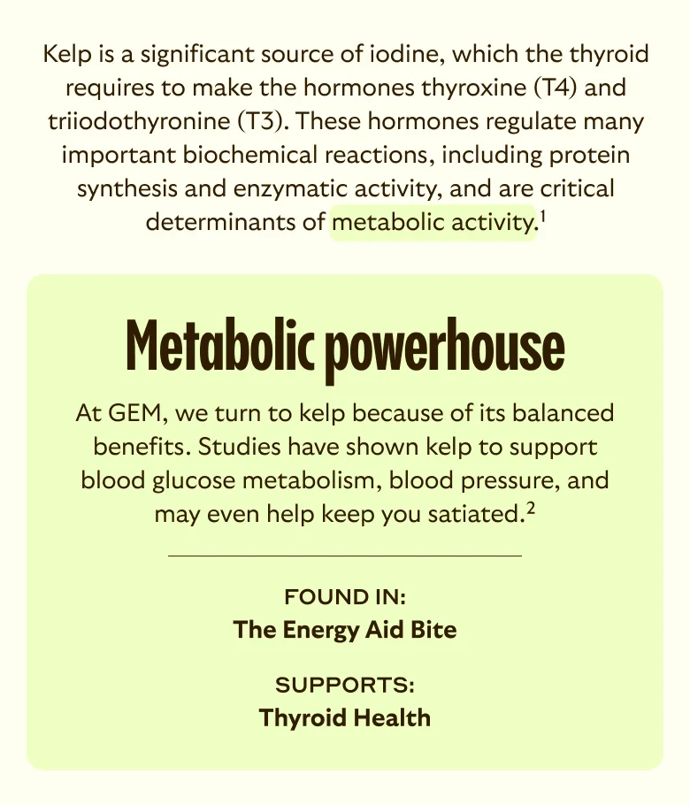 Metabolic powerhouse found in The Energy Aid Bite