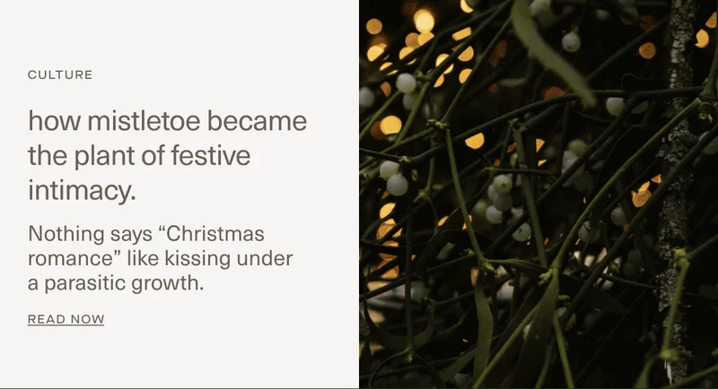 How mistletoe became the plant of festive intimacy.