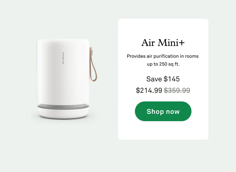 Air Mini+
