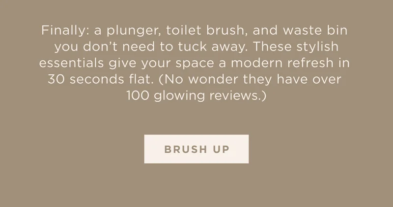 BRUSH UP