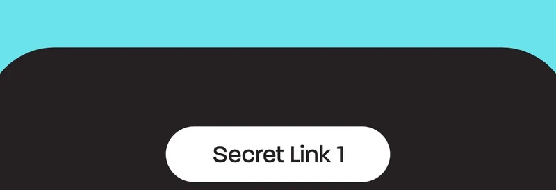Secret Link 1