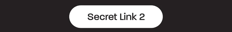 Secret Link 2