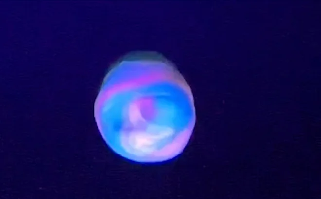 A glowing slime ball under UV light.