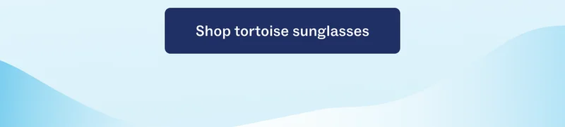 Shop tortoise sunglasses