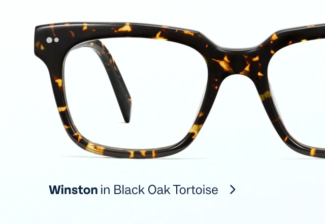 Winston in Black Oak Tortoise