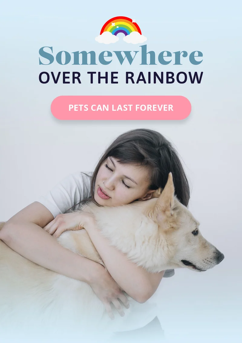 SOMEWHERE OVER THE RAINBOW 🌈 PETS CAN LAST FOREVER