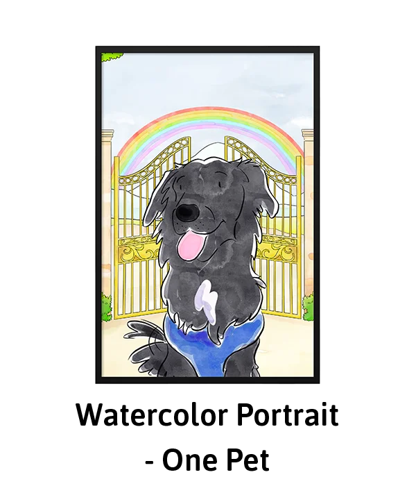 Watercolor Pet Portrait Rainbow Background - One Pet