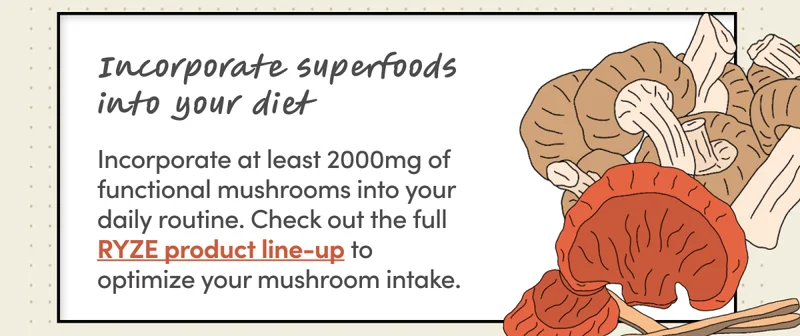 Incorporate superfoods into your diet | Incorporate at least 2000mg of functional mushrooms into your daily routine. Check out the full RYZE product line-up to optimize your mushroom intake.