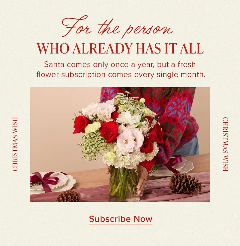 For the person who already has it all. Santa comes only once a year, but these come every single month. Featured Bouq: Christmas Wish. Subscribe Now.