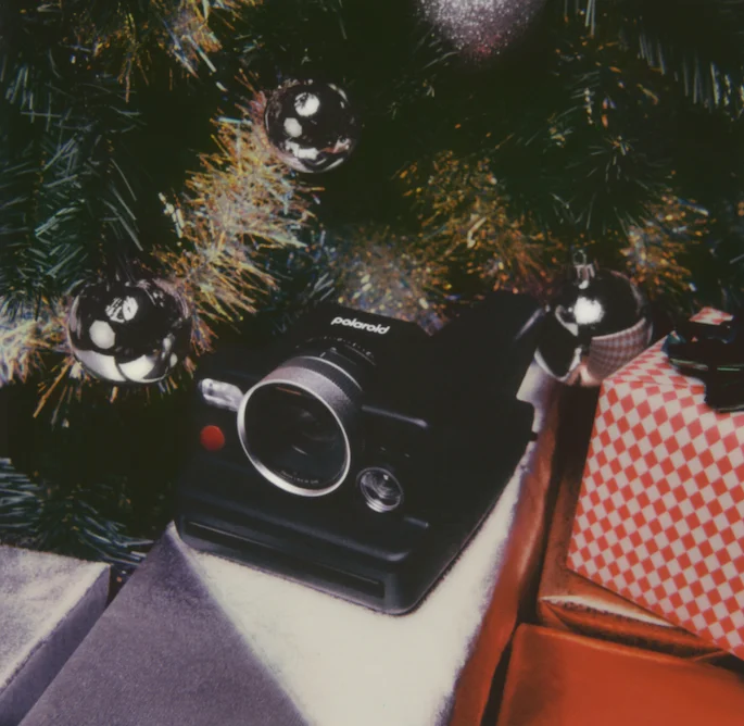 Polaroid I-2 under the tree