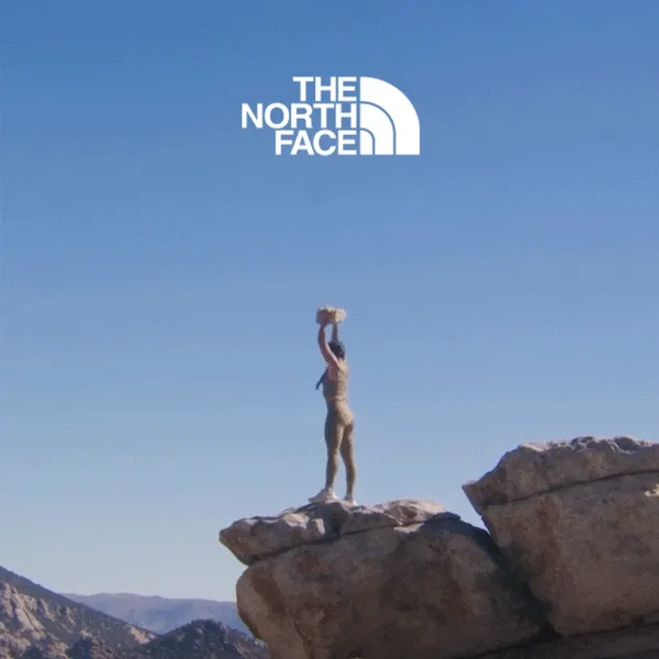 THE NORTH FACE