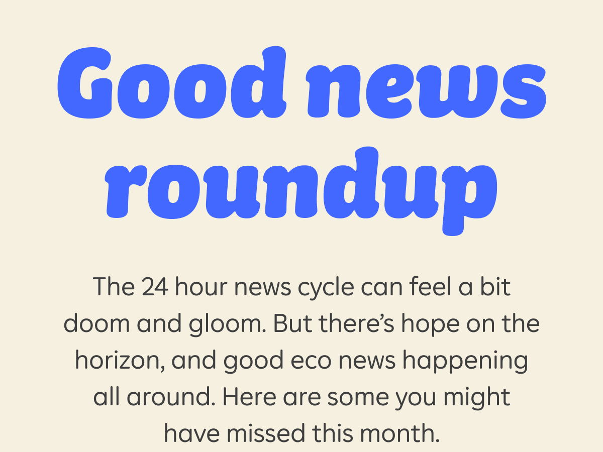 Good news roundup. The 24 hours news cycle can feel a bit doom and gloom. But there's hope on the horizon, and good eco news happening all around. Here are some you might have missed this month.