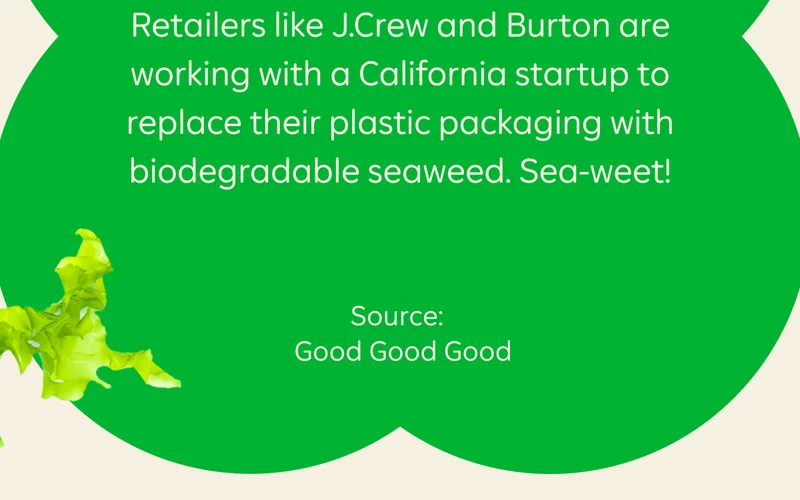 Retailers like J.Crew and Burton are working with a California startup to replace their plastic packaging with biodegradable seaweed. Sea-weet! Source: Good Good Good