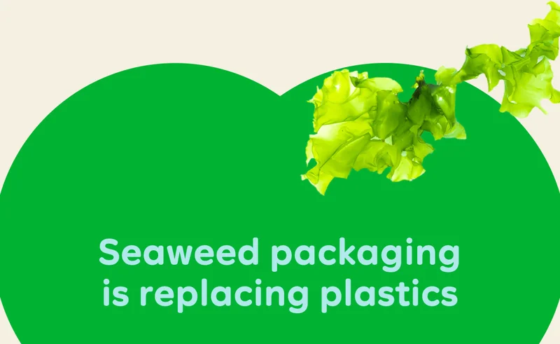 Seaweed packaging is replacing plastics