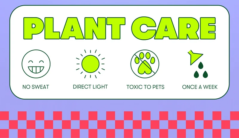 Plant Care. No sweat, direct light, toxic to pets, water once a week.