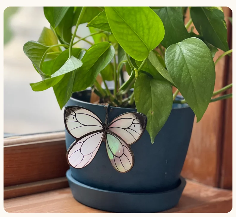 WHITE BUTTERFLY POT HUGGER