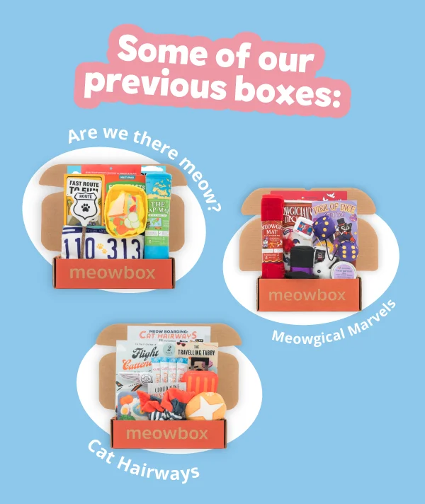 Some of our previous boxes: Are we there meow? Meowgical Marvels and Cat Hairways
