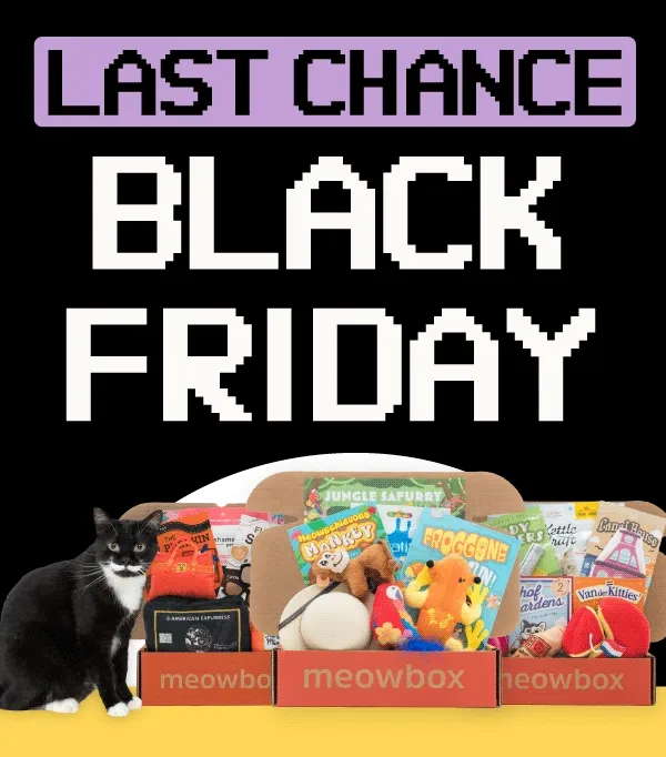 Last Chance! Black Friday. Image of a black white spotted cat sitting next to 3 meowboxes (Jungle Safurry, Whiskers & Windmills and Cats with Cash)