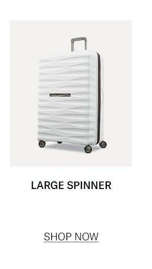 Large Spinner