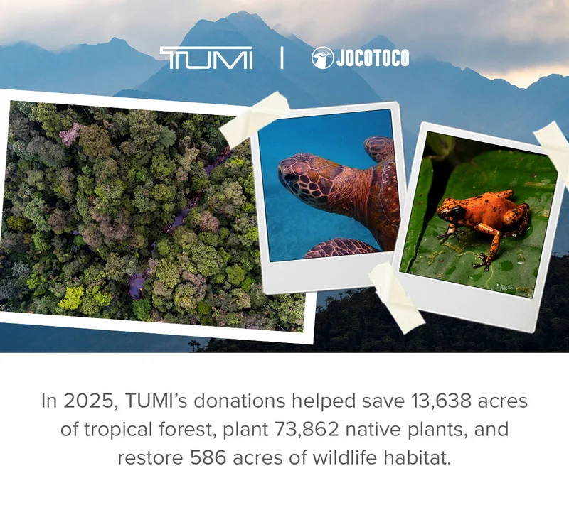 Jocotoco - Learn More