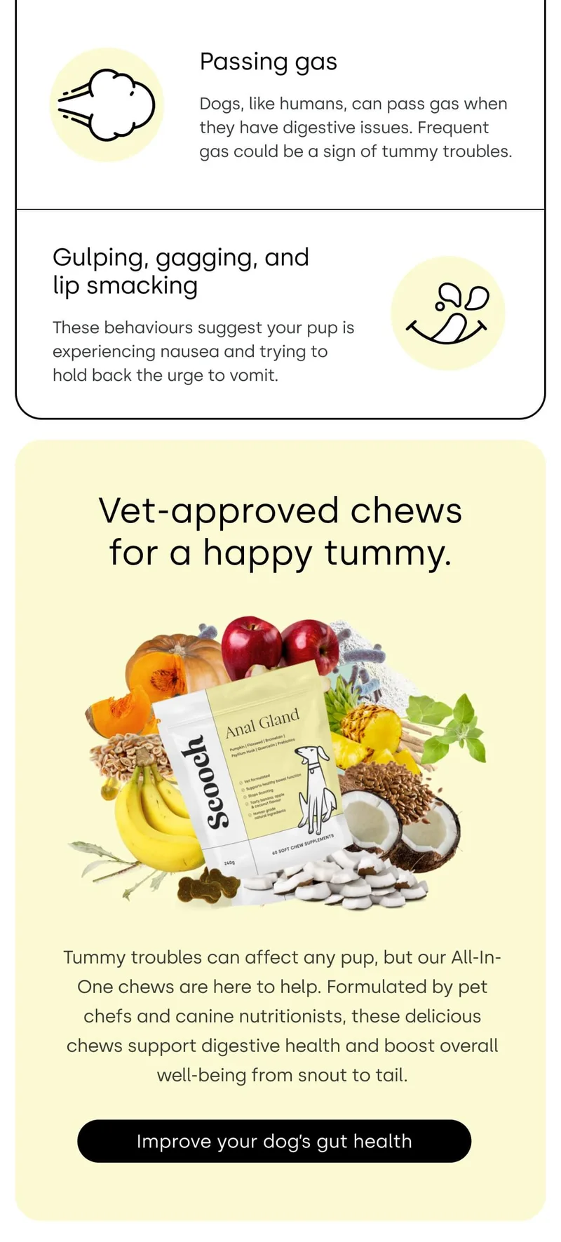 Vet-approved chews for a happy tummy - Improve your dog's gut health