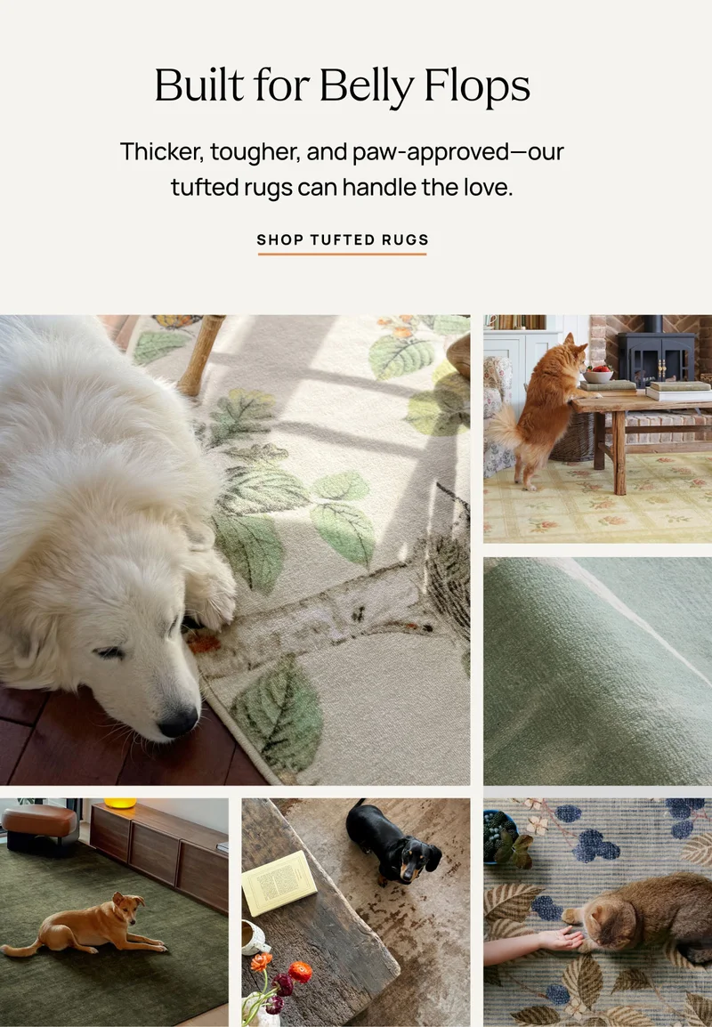 Shop Tufted Rugs