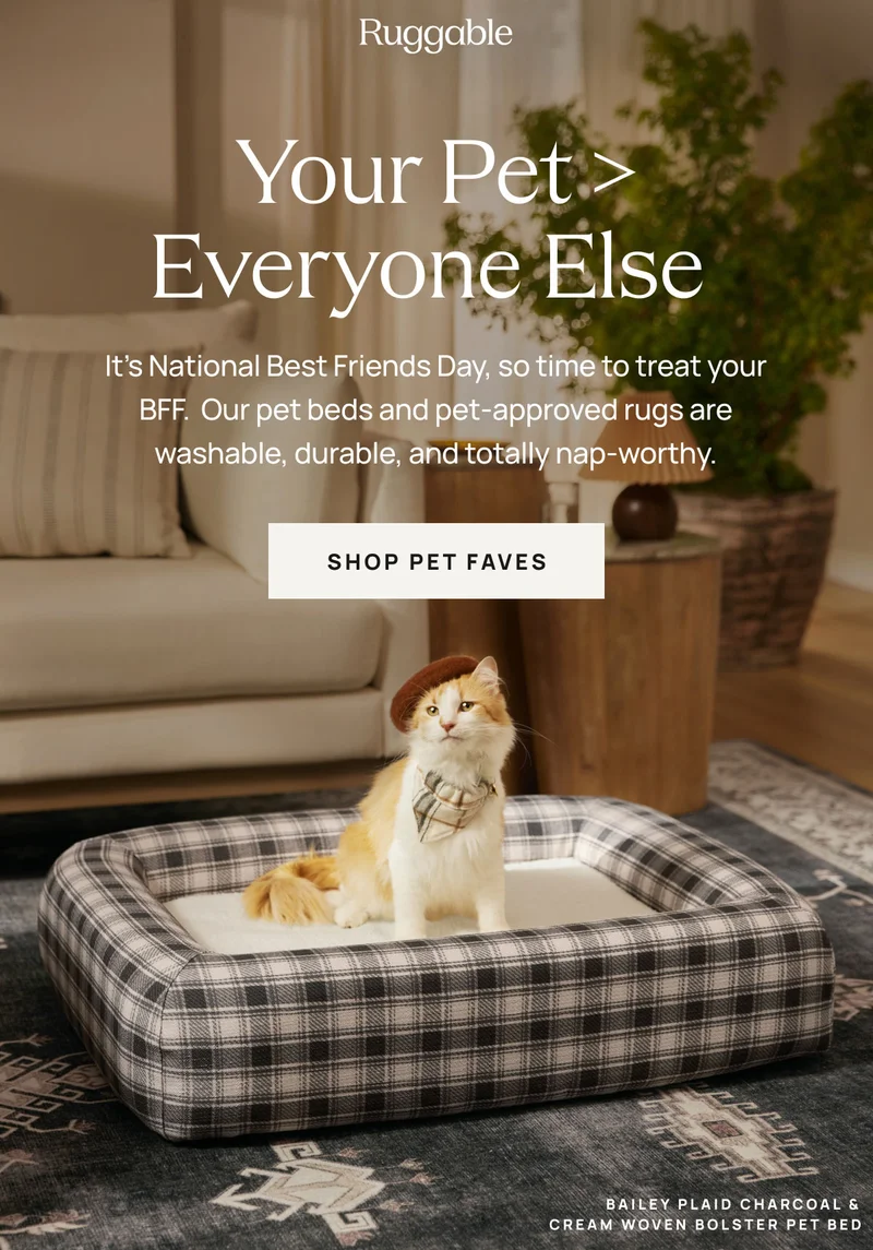 Shop Pet Faves