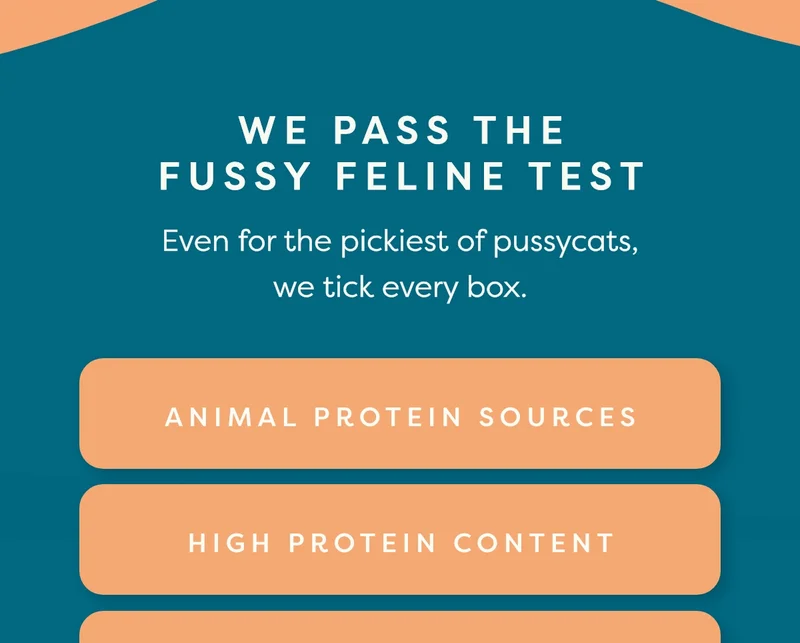 We pass the fussy feline test