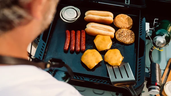 Weber Traveler® Portable Gas Grill
