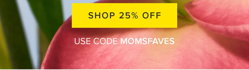 Shop 25% OFF. Use Code MOMSFAVES