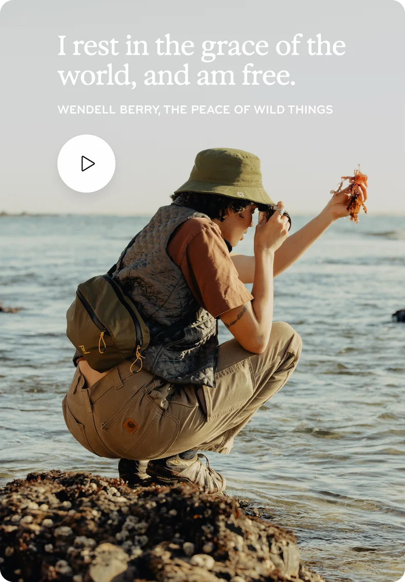 Watch the Kelp Video