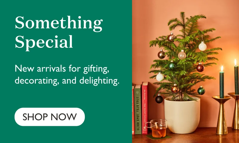 New arrivals for gifting, decorating, and delighting.
