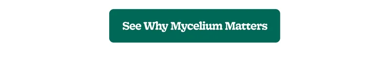 See Why Mycelium Matters