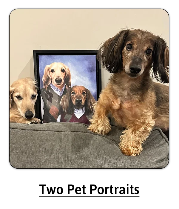 Two Pet Portraits