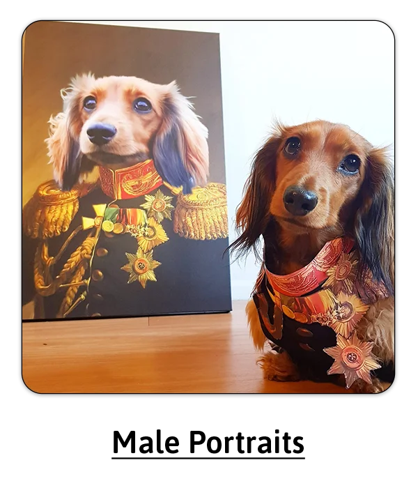 Male Portraits