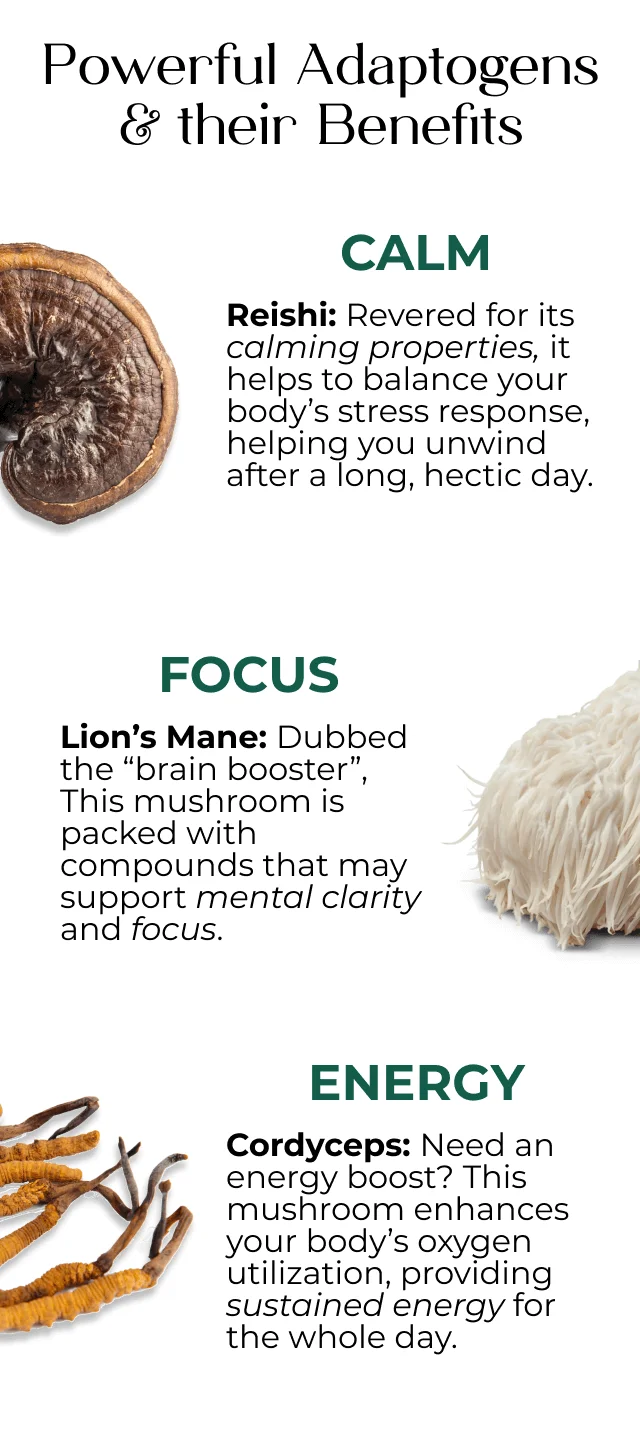 Mushrooms