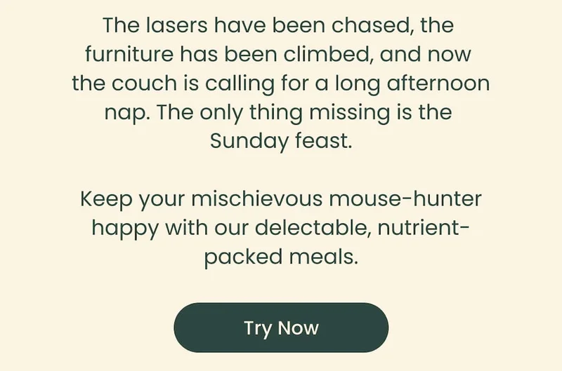 The lasers have been chased, the furniture has been climbed, and now the couch is calling for a long afternoon nap. The only thing missing is the Sunday feast. Keep your mischievous mouse-hunter happy with our delectabble, nutrient-packed meals.