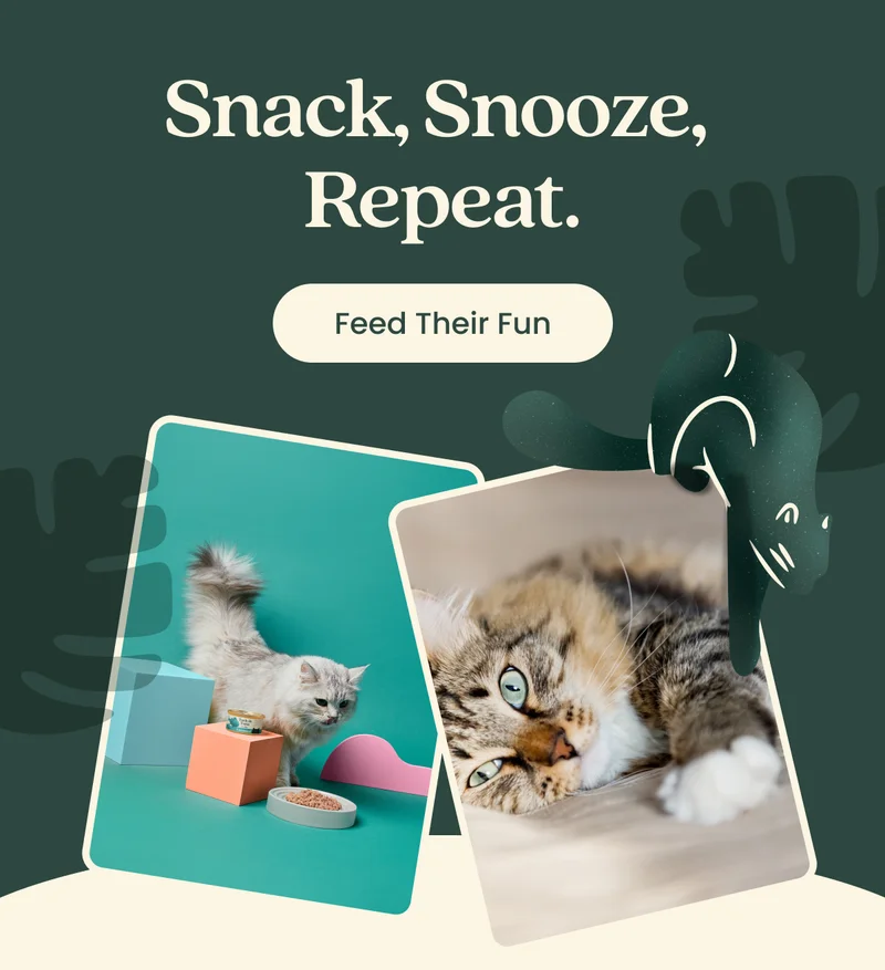 Snack, Snooze, Repeat. Feed Their Fun