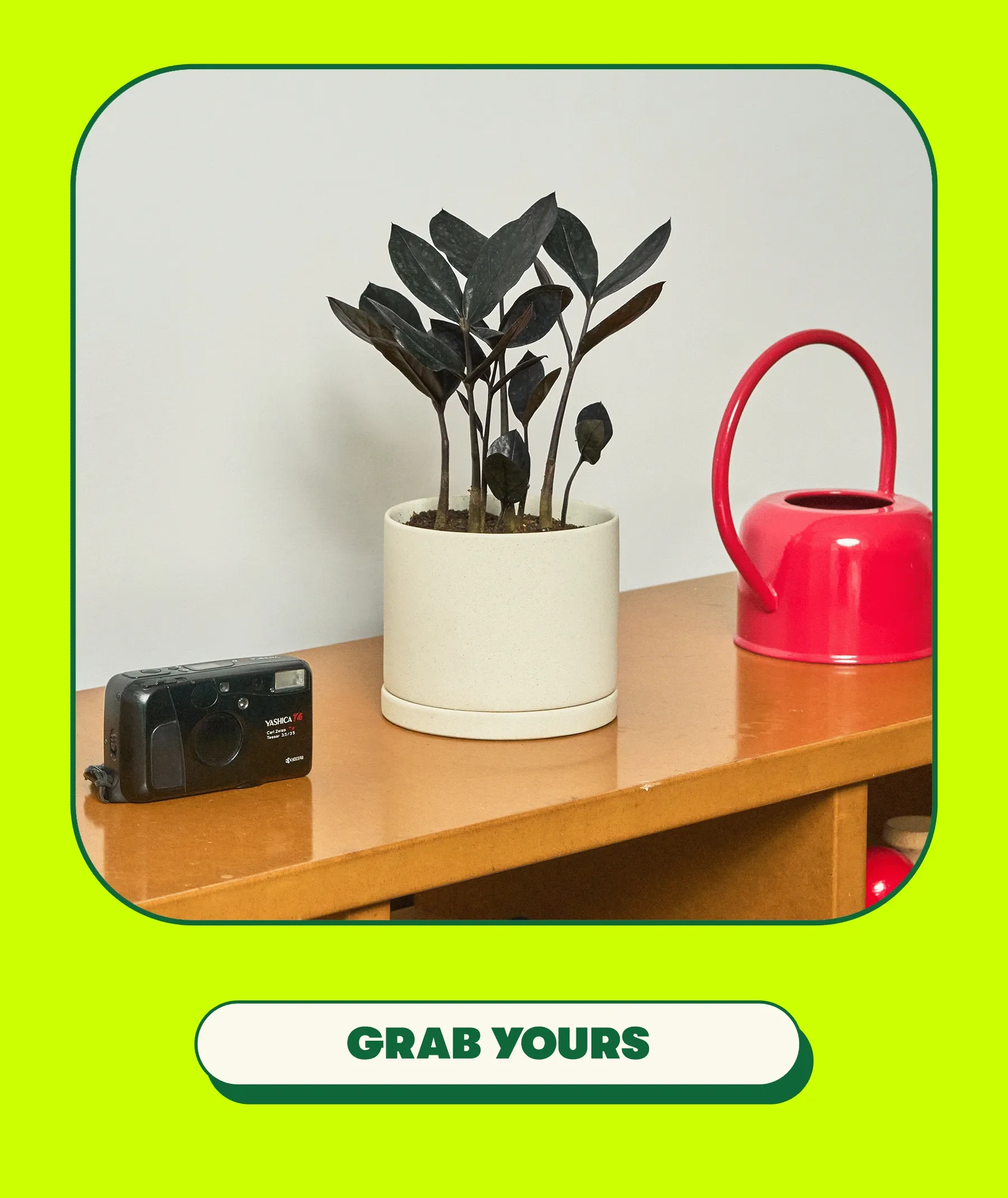 [GRAB YOURS]
