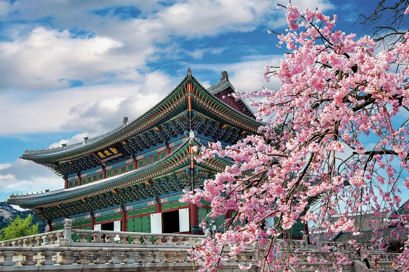Season three of HBO's White Lotus sees the cast jet off to Thailand.
