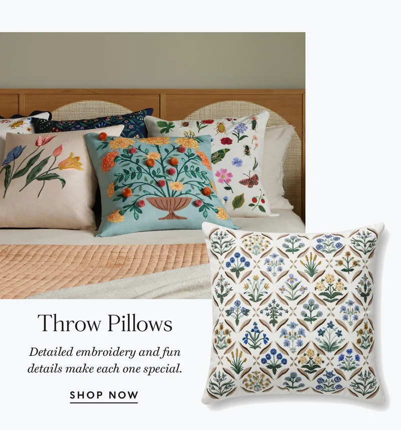 Shop Throw Pillows