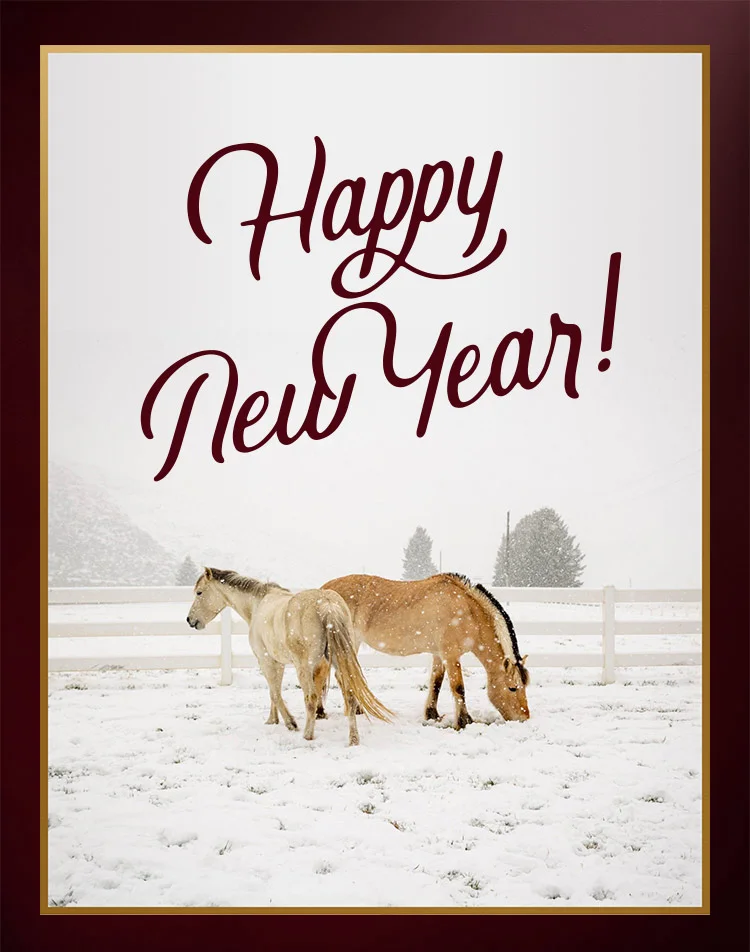 HAPPY NEW YEAR!