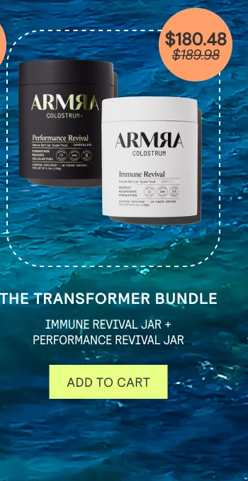 The Transformer Bundle