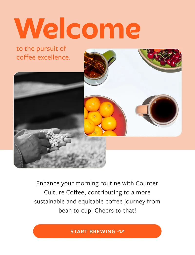 Completing your morning routine with Counter Culture Coffee means you've joined us in moving the needle toward a more sustainable and equitable stream of value from wher coffee is grown all the way to where it is brewed. Cheers to you!
