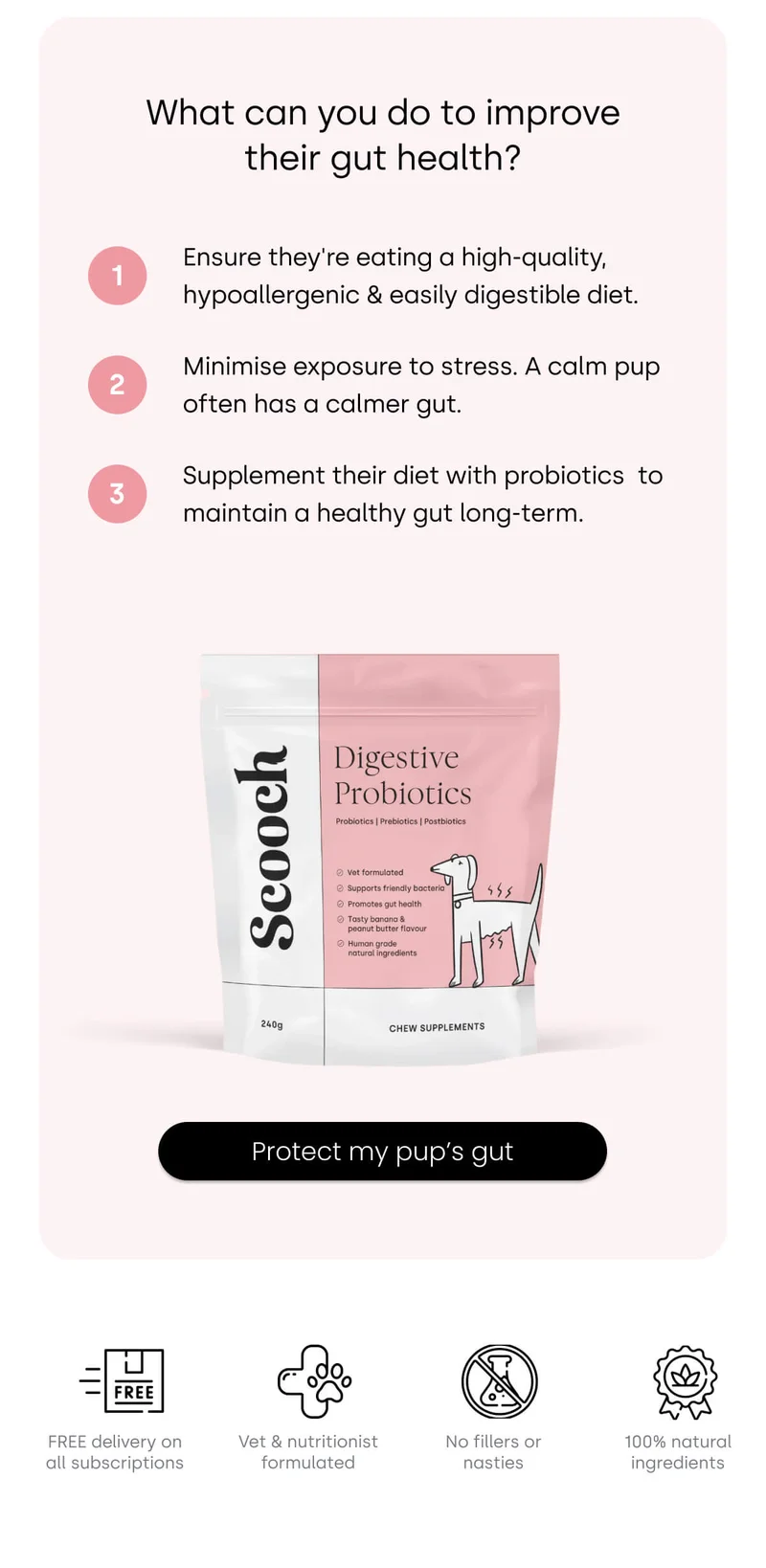 Protect my pup's gut