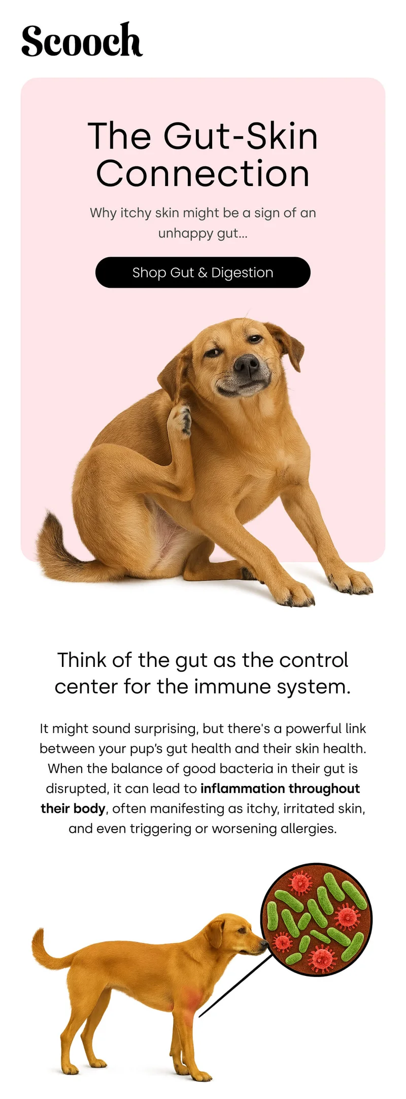 Why itchy skin might be a sign of an unhappy gut...