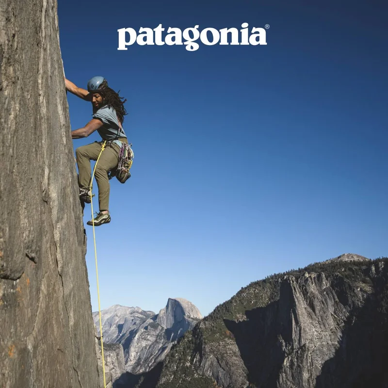 Patagonia climbing pants.