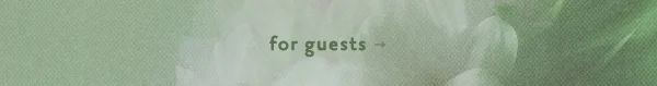 for guests