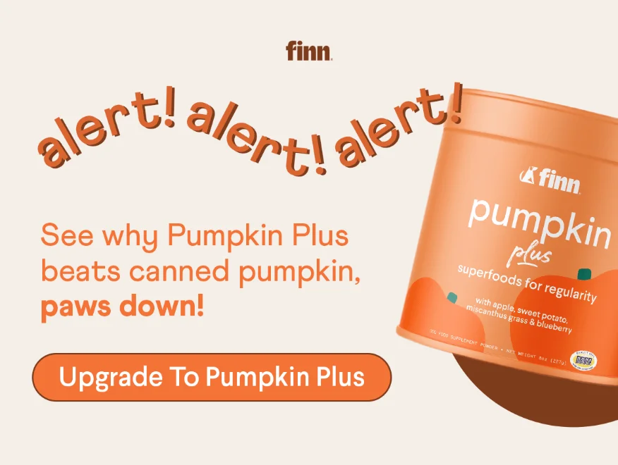Upgrade to Pumpkin Plus